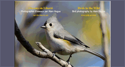 Desktop Screenshot of oiseaux.ca